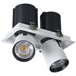 WTD.O31.067.30.20 WERTMARK TECHNICAL DORSUM светильник точечный встраиваемый: LED, 2x10W, 3000K