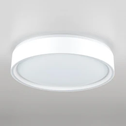 CL751250G BOSS Белый  LED Св-к с пультом
