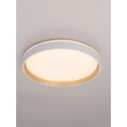 CL753450G ENZO Белый+Золото LED Св-к с пультом